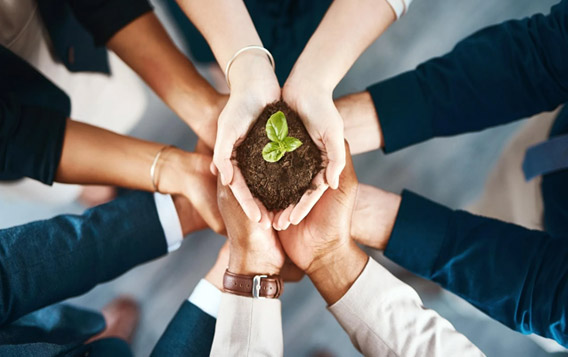 Changzhou Baonong New Material  Technology Co., Ltd.